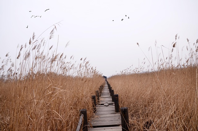 James Chen, CEO and Co-founder